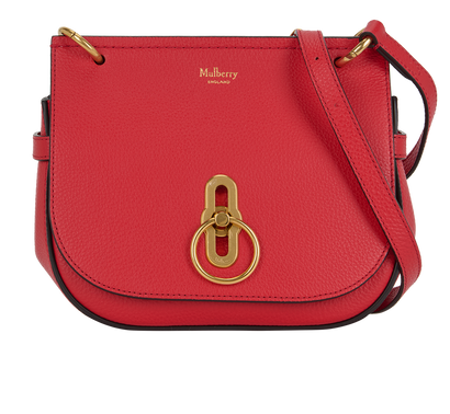 Small Amberley Satchel, front view
